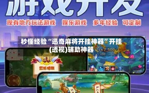 秒懂经验“迅奇麻将开挂神器”开挂(透视)辅助神器-第2张图片