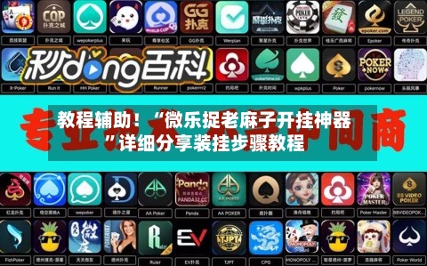 教程辅助！“微乐捉老麻子开挂神器”详细分享装挂步骤教程