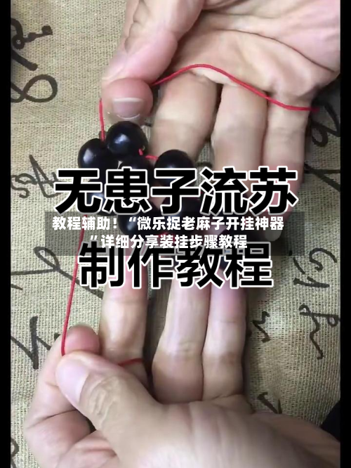 教程辅助！“微乐捉老麻子开挂神器”详细分享装挂步骤教程-第3张图片