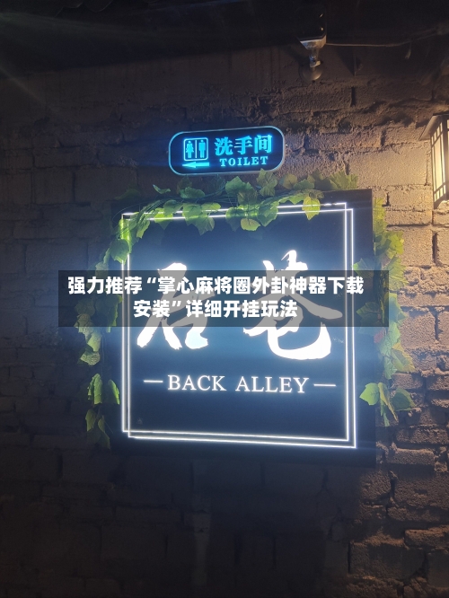 强力推荐“掌心麻将圈外卦神器下载安装”详细开挂玩法-第2张图片