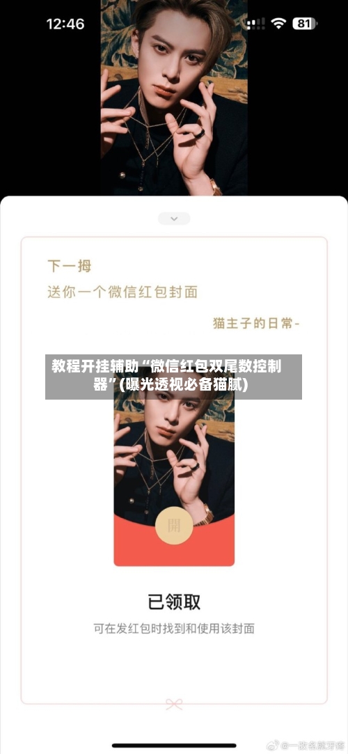 教程开挂辅助“微信红包双尾数控制器	”(曝光透视必备猫腻)-第2张图片