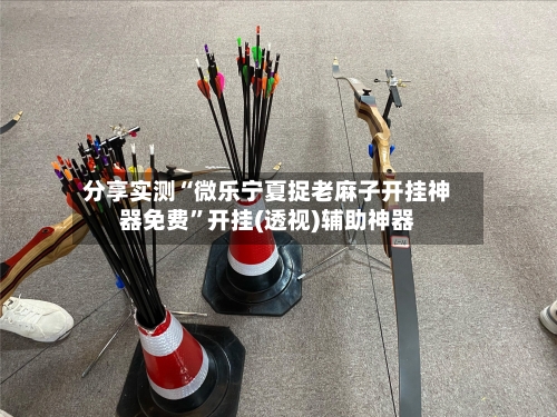 分享实测“微乐宁夏捉老麻子开挂神器免费	”开挂(透视)辅助神器-第2张图片