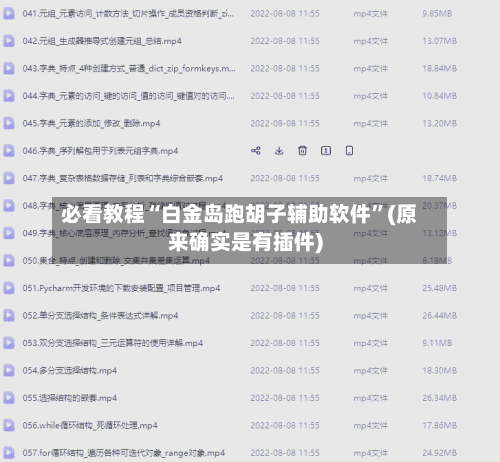 必看教程“白金岛跑胡子辅助软件	”(原来确实是有插件)-第2张图片