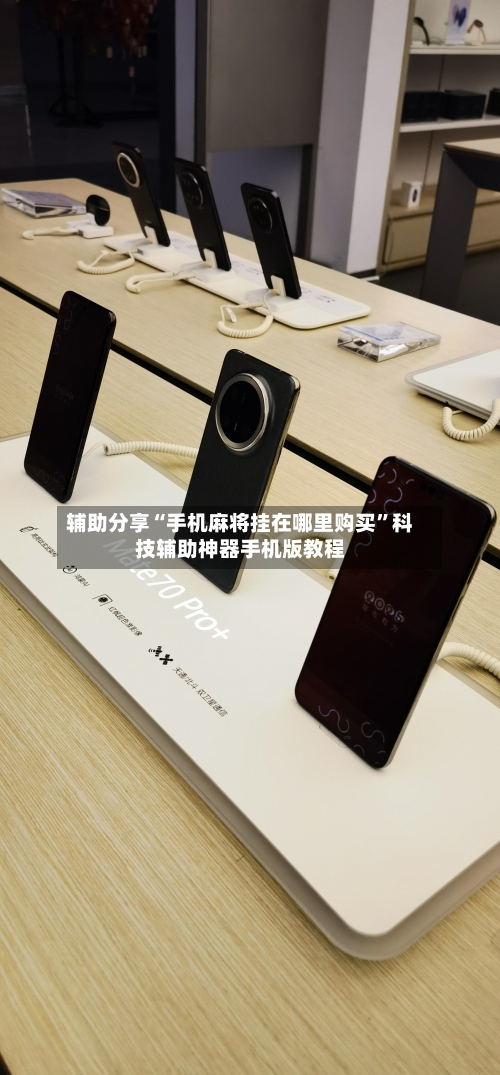 辅助分享“手机麻将挂在哪里购买”科技辅助神器手机版教程-第2张图片