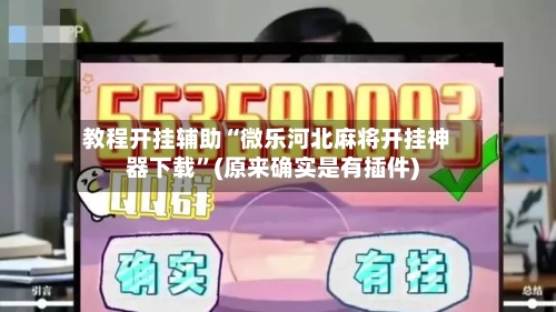 教程开挂辅助“微乐河北麻将开挂神器下载	”(原来确实是有插件)-第2张图片