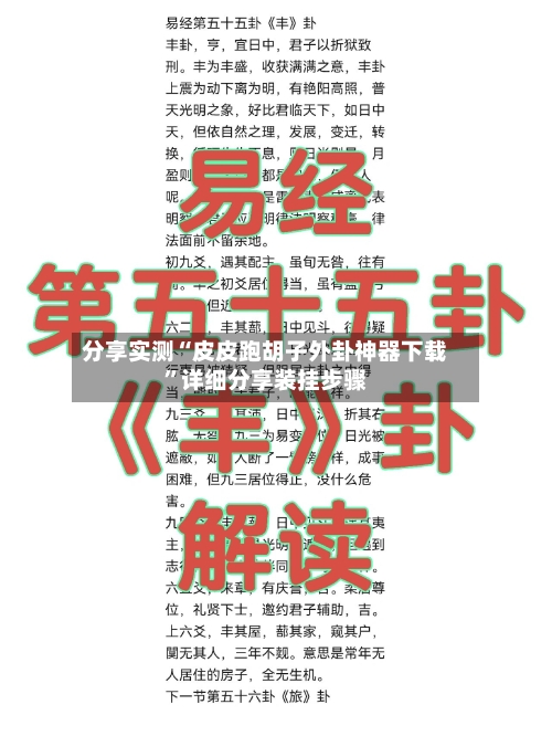 分享实测“皮皮跑胡子外卦神器下载”详细分享装挂步骤-第2张图片