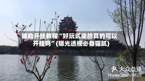 辅助开挂教程“好玩贰柒拾真的可以开挂吗	”(曝光透视必备猫腻)-第2张图片