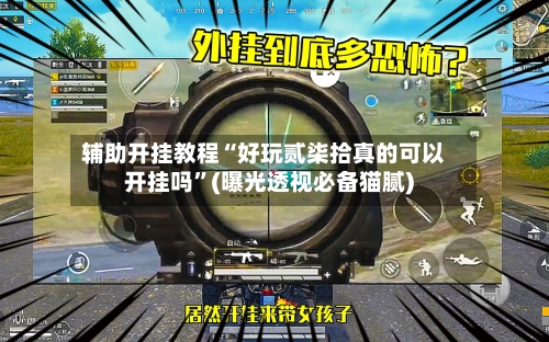 辅助开挂教程“好玩贰柒拾真的可以开挂吗”(曝光透视必备猫腻)-第3张图片
