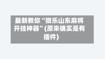 最新教你“微乐山东麻将开挂神器”(原来确实是有插件)-第2张图片