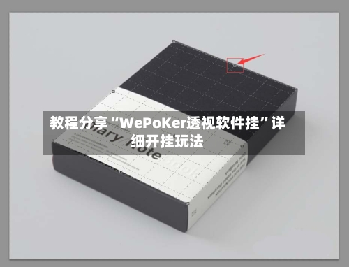 教程分享“WePoKer透视软件挂”详细开挂玩法-第3张图片