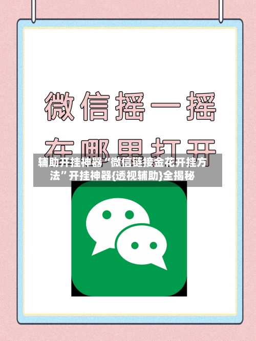 辅助开挂神器“微信链接金花开挂方法”开挂神器{透视辅助}全揭秘-第3张图片