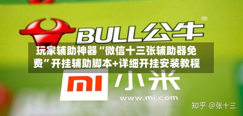 玩家辅助神器“微信十三张辅助器免费	”开挂辅助脚本+详细开挂安装教程-第3张图片