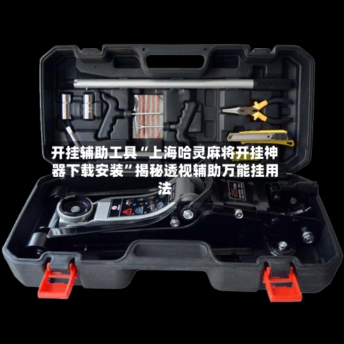 开挂辅助工具“上海哈灵麻将开挂神器下载安装”揭秘透视辅助万能挂用法-第3张图片