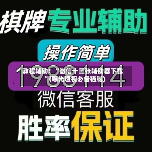 教程辅助！“微信十三张辅助器下载”(曝光透视必备猫腻)-第2张图片