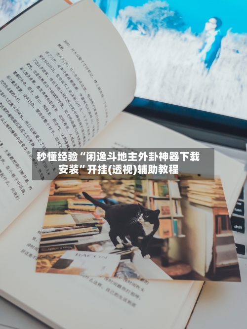 秒懂经验“闲逸斗地主外卦神器下载安装”开挂(透视)辅助教程-第3张图片