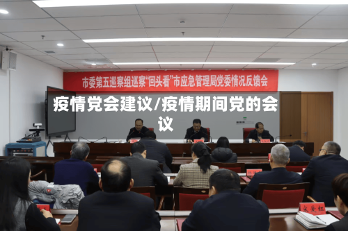 疫情党会建议/疫情期间党的会议-第3张图片