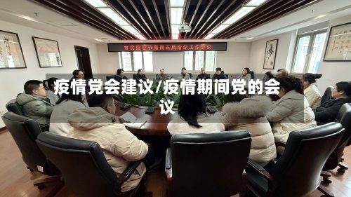 疫情党会建议/疫情期间党的会议