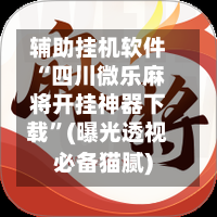 辅助挂机软件“四川微乐麻将开挂神器下载”(曝光透视必备猫腻)