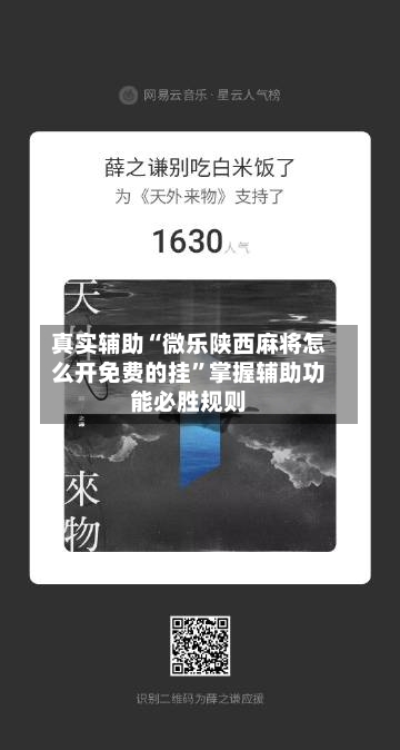 真实辅助“微乐陕西麻将怎么开免费的挂	”掌握辅助功能必胜规则-第3张图片