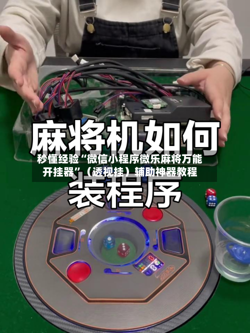 秒懂经验“微信小程序微乐麻将万能开挂器	”（透视挂）辅助神器教程-第3张图片