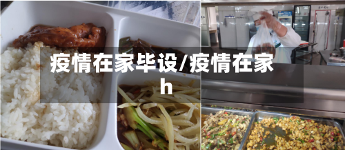 疫情在家毕设/疫情在家h