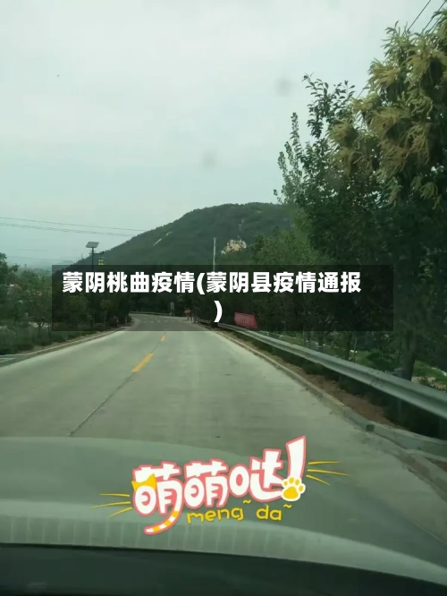 蒙阴桃曲疫情(蒙阴县疫情通报)