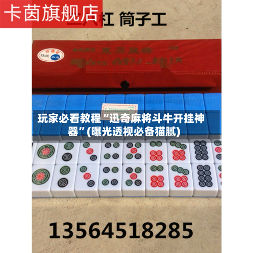 玩家必看教程“迅奇麻将斗牛开挂神器”(曝光透视必备猫腻)-第3张图片