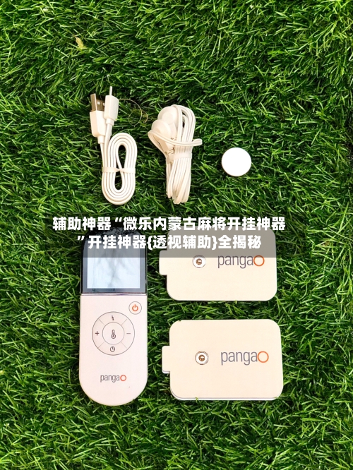 辅助神器“微乐内蒙古麻将开挂神器”开挂神器{透视辅助}全揭秘-第3张图片