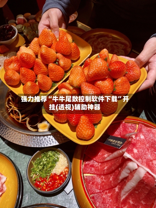 强力推荐“牛牛尾数控制软件下载”开挂(透视)辅助神器-第2张图片