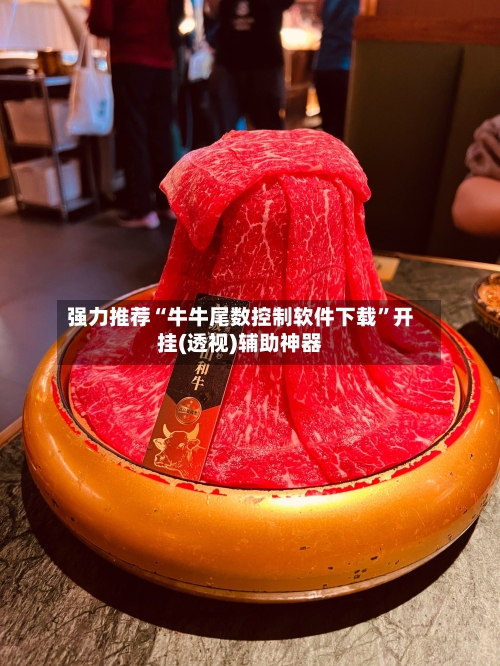 强力推荐“牛牛尾数控制软件下载”开挂(透视)辅助神器-第3张图片