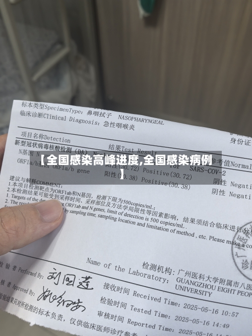 【全国感染高峰进度,全国感染病例】