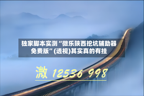 独家脚本实测“微乐陕西挖坑辅助器免费版”(透视)其实真的有挂-第2张图片