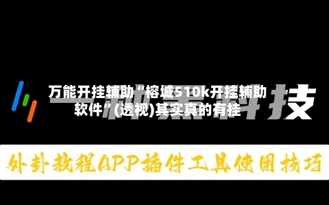 万能开挂辅助“榕城510k开挂辅助软件”(透视)其实真的有挂