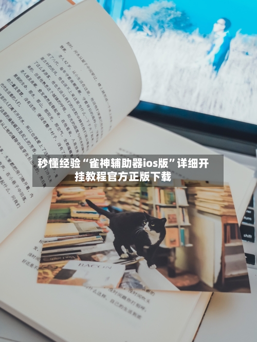 秒懂经验“雀神辅助器ios版”详细开挂教程官方正版下载