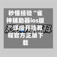 秒懂经验“雀神辅助器ios版	”详细开挂教程官方正版下载-第3张图片