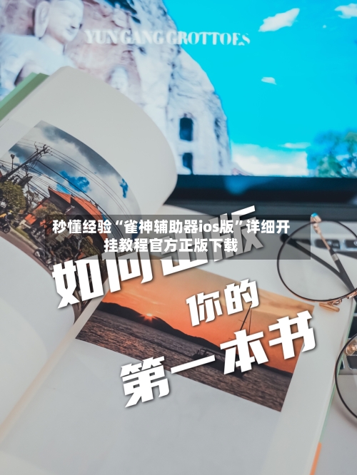 秒懂经验“雀神辅助器ios版”详细开挂教程官方正版下载-第2张图片