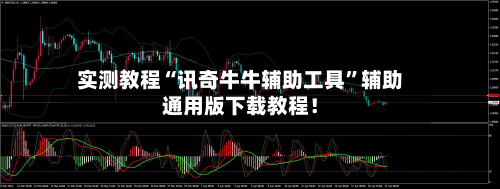 实测教程“讯奇牛牛辅助工具”辅助通用版下载教程！-第3张图片
