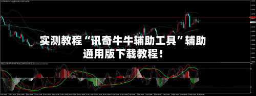 实测教程“讯奇牛牛辅助工具	”辅助通用版下载教程！-第2张图片