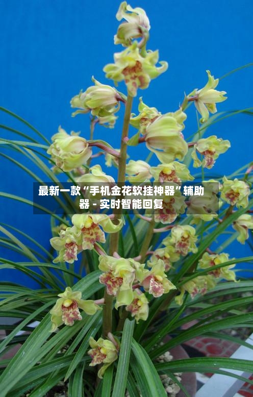 最新一款“手机金花软挂神器	”辅助器 - 实时智能回复-第2张图片