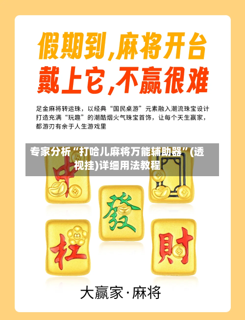 专家分析“打哈儿麻将万能辅助器”(透视挂)详细用法教程-第2张图片