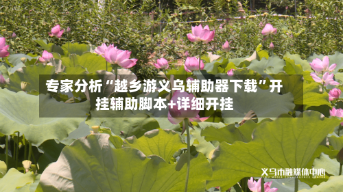 专家分析“越乡游义乌辅助器下载	”开挂辅助脚本+详细开挂-第2张图片