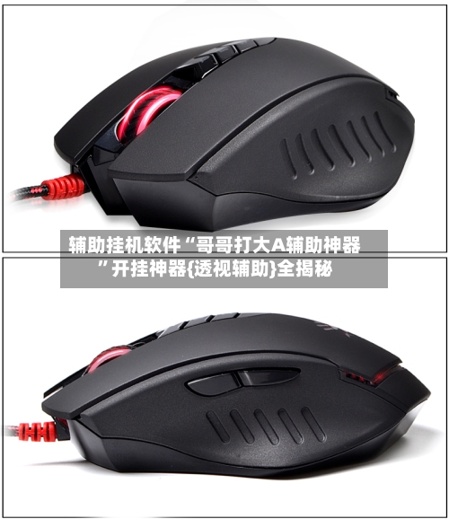 辅助挂机软件“哥哥打大A辅助神器”开挂神器{透视辅助}全揭秘