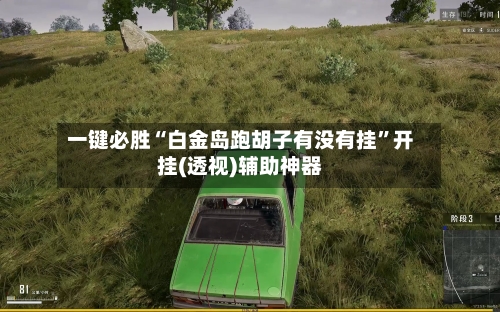 一键必胜“白金岛跑胡子有没有挂”开挂(透视)辅助神器