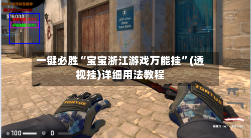 一键必胜“宝宝浙江游戏万能挂”(透视挂)详细用法教程-第3张图片
