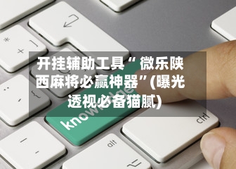开挂辅助工具“ 微乐陕西麻将必赢神器”(曝光透视必备猫腻)-第3张图片