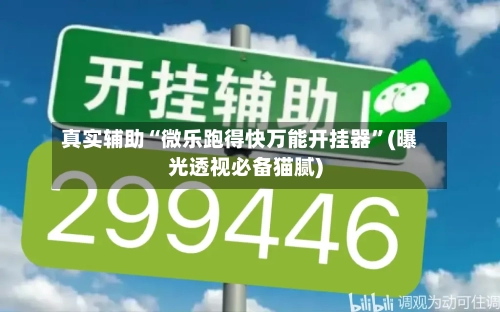 真实辅助“微乐跑得快万能开挂器”(曝光透视必备猫腻)-第3张图片