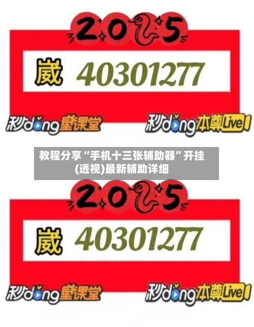 教程分享“手机十三张辅助器	”开挂(透视)最新辅助详细-第2张图片