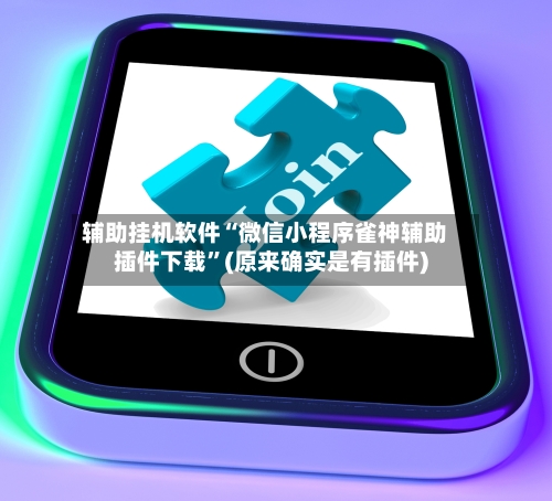 辅助挂机软件“微信小程序雀神辅助插件下载”(原来确实是有插件)-第3张图片