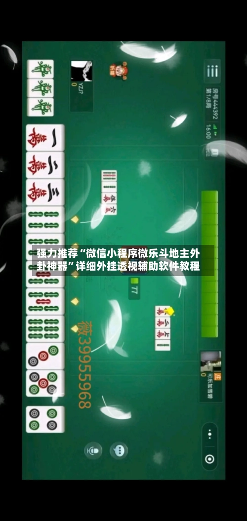 强力推荐“微信小程序微乐斗地主外卦神器”详细外挂透视辅助软件教程-第2张图片