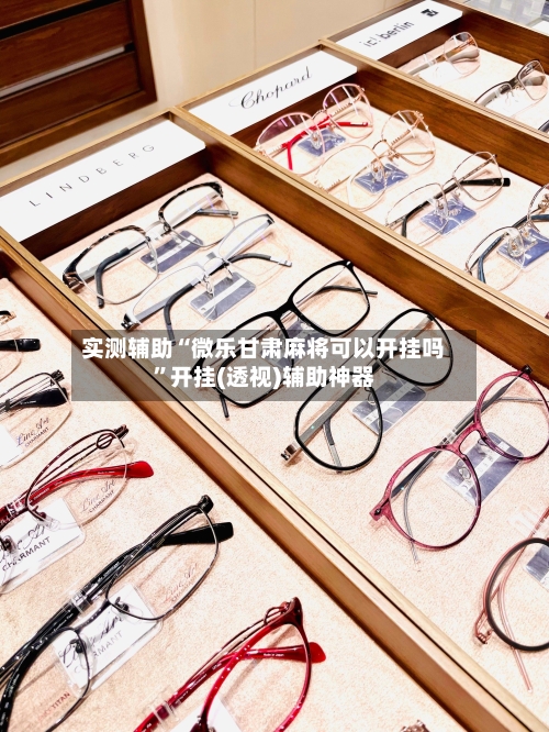 实测辅助“微乐甘肃麻将可以开挂吗”开挂(透视)辅助神器-第2张图片